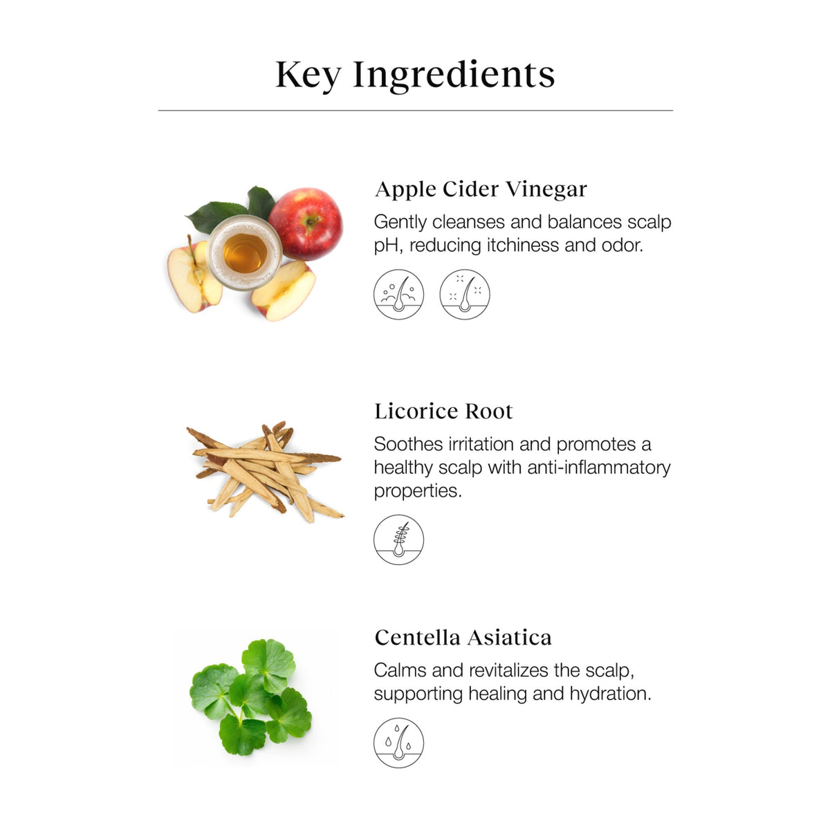 Bephor Braid Rev Scalp Cleansing Toner 200 mL – No-Rinse Scalp Toner for Braids